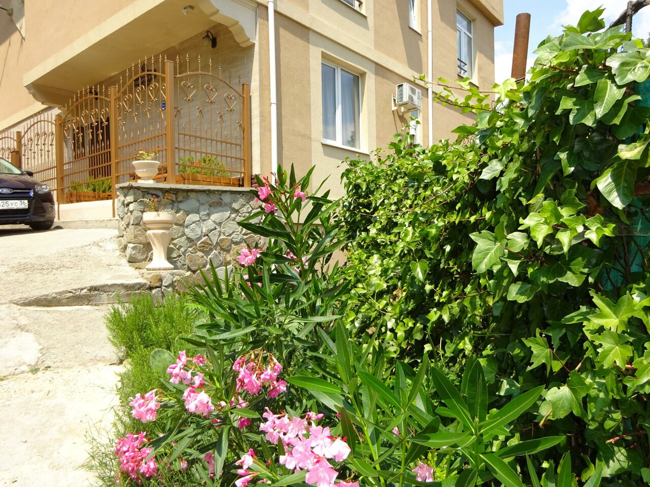 Гостиница Тавр Ялта-149