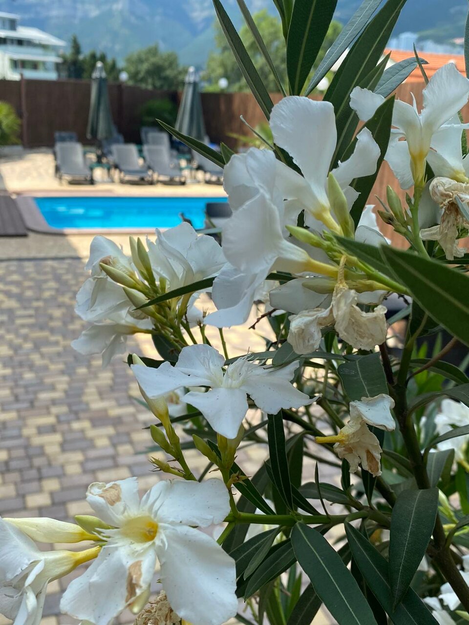 Гостиница Тавр Ялта-132